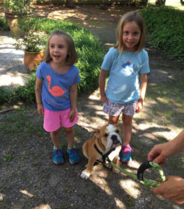 Puppy Training with Small Children